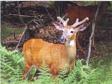 0 Valley Rd unit PWBPW253773, Newfoundland, PA - photo 7