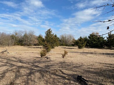 TBD Cr 118 Lot 2, Whitesboro, TX 76273 - photo 4