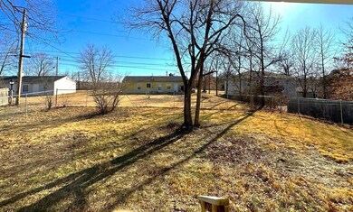 Backyard 1