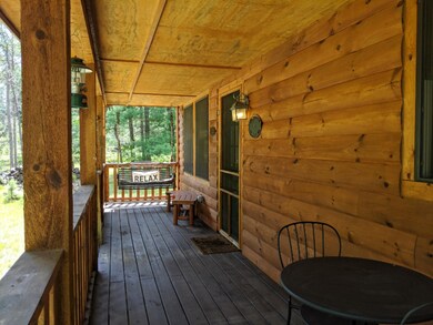 8977 S Jordan St, Idlewild, MI 49642 - photo 3