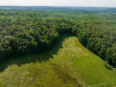 DJI_20250615165345_0001_D-HDR