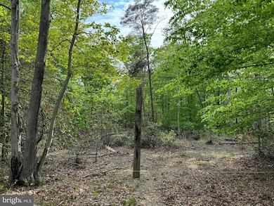 0 Old Marshall Hall Rd unit MDPG2145050, Accokeek, MD 20607 - photo 4