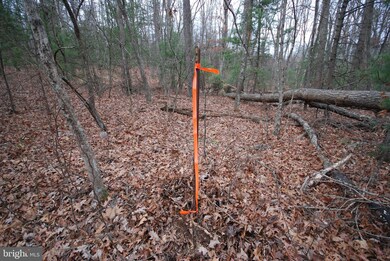 Lot 52 Pony Express Ln, Augusta, WV 26704 - photo 6