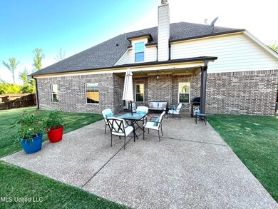 3 Backyard 2