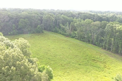 La 412 Overton Rd unit LotWP002, Slaughter, LA 70777 - photo 6