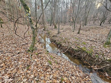 0 Garnet Dr unit 420452, Ellijay, GA 30540 - photo 6