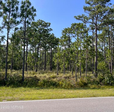 L-37 Cougar Rd, Boiling Spring Lakes, NC 28461 - photo 2