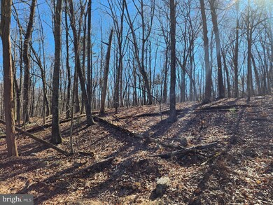 LOTS 8 & 9 Howard Delawder Ln, Mathias, WV 26812 - photo 5