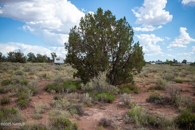 664 E Cimmaron Strip, Valle, AZ 86046 - photo 3