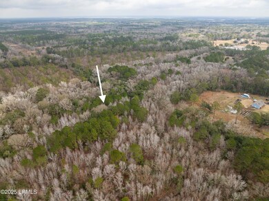 Tbd Morgan Rd, Seabrook, SC 29940 - photo 7