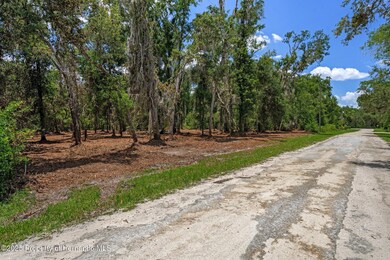 15-web-or-mls-M7304368