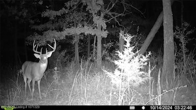 Tract 5 SE 179th, Wilburton, OK 74578 - photo 3