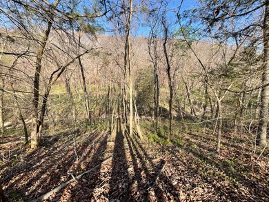 000 Brush Creek Rd, Noel, MO 64854 - photo 7