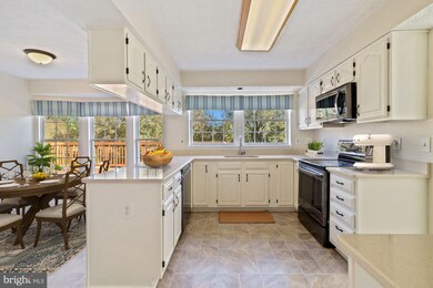 5405 Autumn Field Ct, Ellicott City, MD 21043 - photo 5