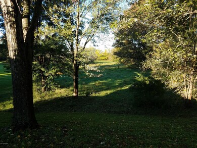 .57 Acre Backyard