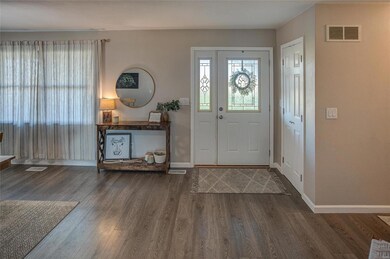 4989 Carr Rd, Freeburg, IL 62243 - photo 2