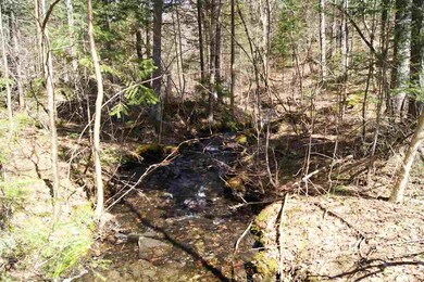0 Kemp Hill Rd, Canaan, VT 05903 - photo 5