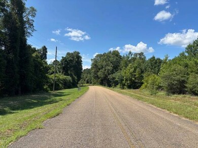 00 Good Hope Rd unit 2, Dozier, AL 36028 - photo 2