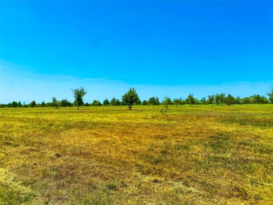 TBD Fm 2555, Corsicana, TX 75110 - photo 4