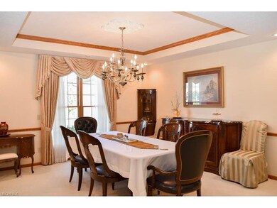 Dining room with a tray ceiling.