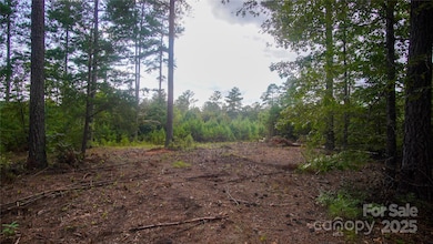 00 Scenic Dr unit 178, Granite Falls, NC 28630 - photo 5