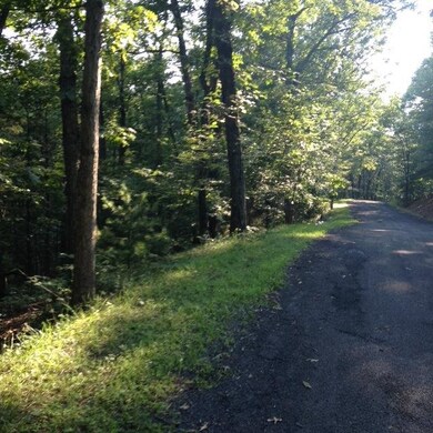 0 Lee Dr unit 580075, Basye, VA 22810 - photo 2