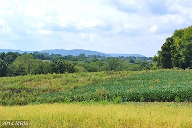 3712 Petersville Rd, Knoxville, MD 21758 - photo 4