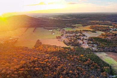 20 Six Mile Rd, Somerville, AL 35670 - photo 7