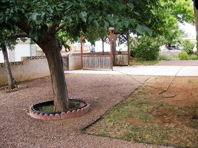 Back yard