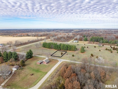 247 S Lakeview Rd, Dahinda, IL 61428 - photo 2