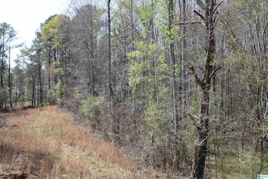 0 Danny Holmans Rd unit 21419252, Rockford, AL 35136 - photo 2