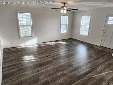 650 W Adrian St, Blissfield, MI 49228 - photo 5