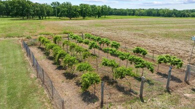Vineyard