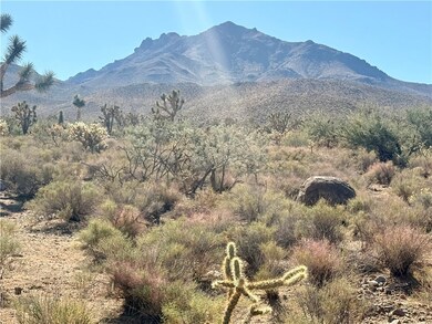 1.95 Ac 20th St, Dolan Springs, AZ 86441 - photo 7