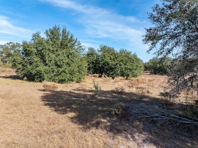 1015 NE Evergreen Ave, Pinetta, FL 32350 - photo 3