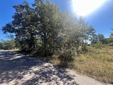 00 Bluebonnet Dr, Gun Barrel City, TX 75156 - photo 2