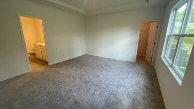 Progress Photo as of 5/2/24  Primary Suite with Tray Ceiling