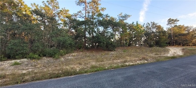 11373 N Kenney Loop, Citrus Springs, FL 34433 - photo 3