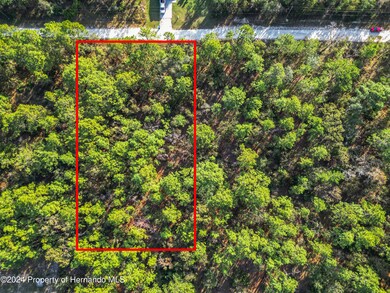 -0 Macek Road-15-Lot Lines