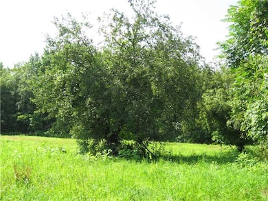 Land/Lot.