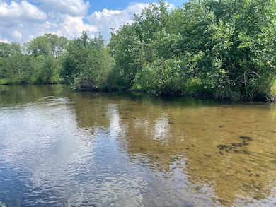 V/L 56th St, Paw Paw, MI 49079 - photo 3