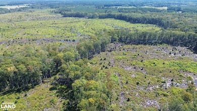 Tbd Highway 63, Ruffin, SC 29475 - photo 2