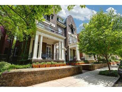 Beautiful Tree Lined Street