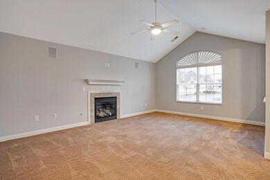 07_DSC07665_mls