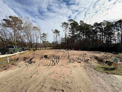 1000 MacCoa Dr unit Lot 415, Conway, SC 29526 - photo 2