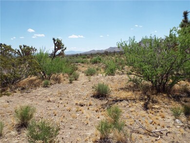 View of mountain background