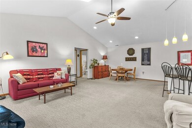 8675 Dublin Ridge Cir NW unit 4D, Massillon, OH 44646 - photo 3