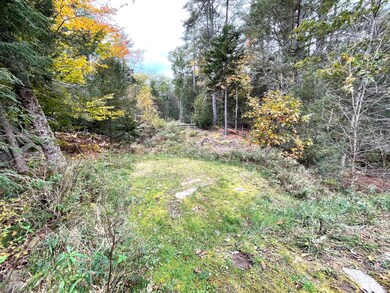 108 Flying Point Rd, Freeport, ME 04032 - photo 3