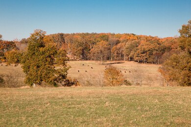 7252 Northwest Hwy, Fairview, TN 37062 - photo 6