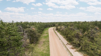 19-web-or-mls-DJI_0998